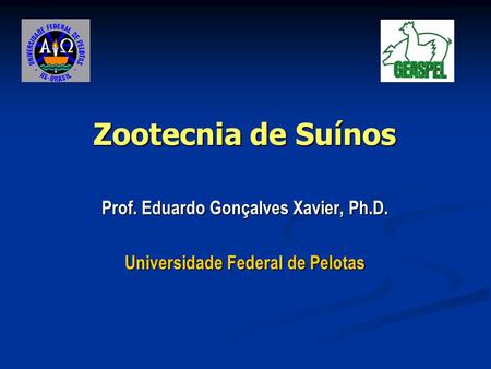 Prof. Eduardo Gonçalves Xavier, Ph.D. Universidade Federal de Pelotas