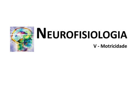 NEUROFISIOLOGIA V - Motricidade.