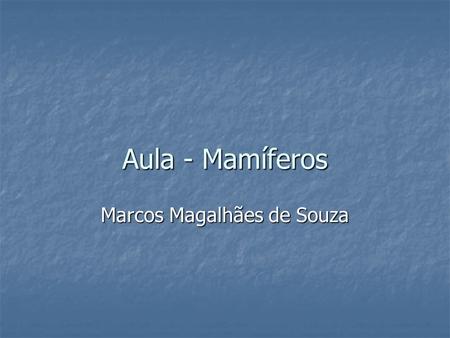 Marcos Magalhães de Souza