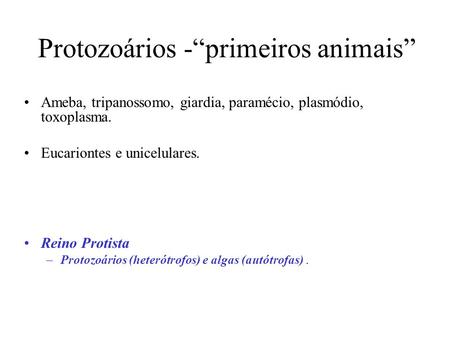 Protozoários -“primeiros animais”