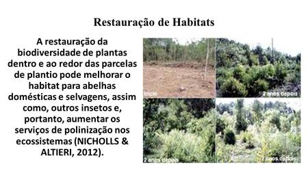Restauração de Habitats