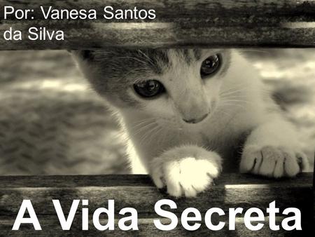 A Vida Secreta dos Gatos