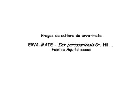 Pragas da cultura da erva-mate ERVA-MATE - Ilex paraguariensis St. Hil