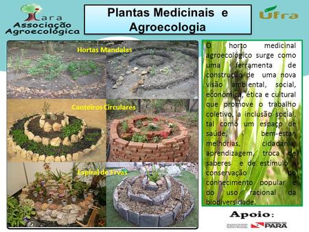 Plantas Medicinais e Agroecologia