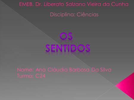 EMEB. Dr. Liberato Salzano Vieira da Cunha
