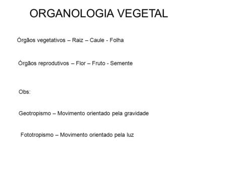 ORGANOLOGIA VEGETAL Órgãos vegetativos – Raiz – Caule - Folha