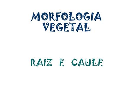 MORFOLOGIA VEGETAL RAIZ E CAULE.