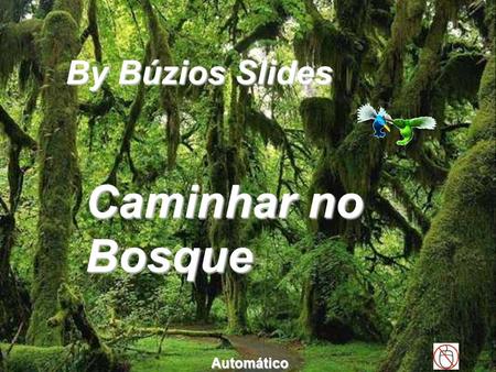 By Búzios Slides Caminhar no Bosque Automático.