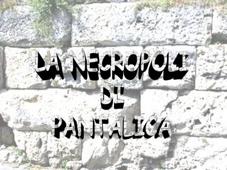 LOCAL ARQUEOLÓGICO DE PANTALICA è sem dúvida um dos locais arqueológicos mais interessantes da Sicília. Habitado desde a pré-história durante muitos.