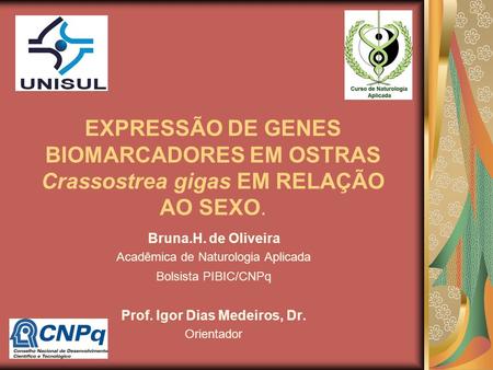 Prof. Igor Dias Medeiros, Dr.