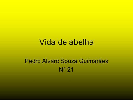 Pedro Alvaro Souza Guimarães N° 21