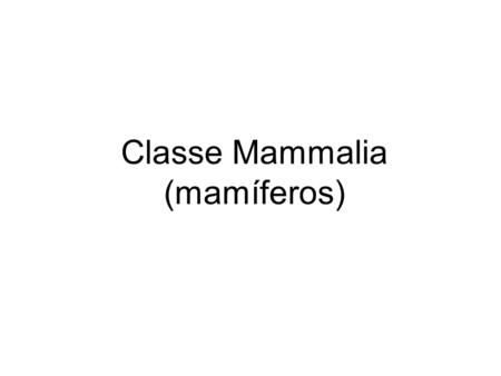 Classe Mammalia (mamíferos).