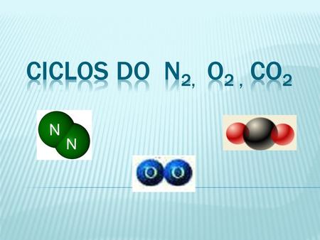CICLOS DO N2, O2 , CO2.