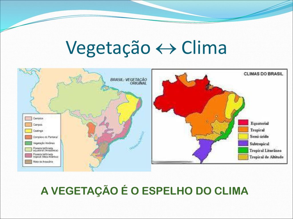 Os tipos climáticos e as paisagens vegetais. - ppt carregar