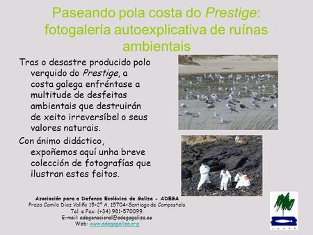 Asociación para a Defensa Ecolóxica de Galiza - ADEGA Praza Camilo Diaz Valiño 15-2º A. 15704-Santiago de Compostela Tel. e Fax: (+34) 981-570099. E-mail: