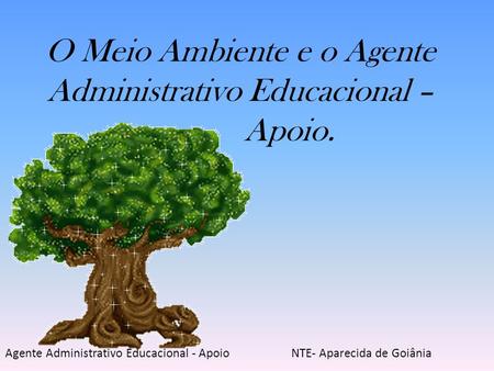 O Meio Ambiente e o Agente Administrativo Educacional – Apoio.