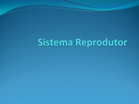 Componentes Pênis Testículos Epidídimo Ducto deferente Vesícula seminal Próstata Glândula bulbouretral.