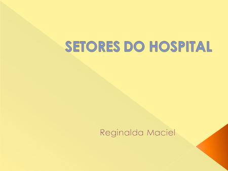 SETORES DO HOSPITAL Reginalda Maciel.