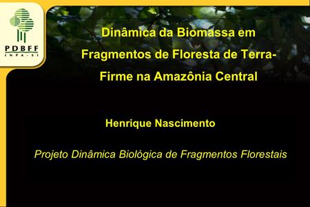 Projeto Dinâmica Biológica de Fragmentos Florestais