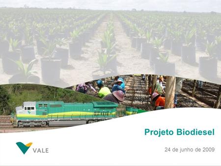 Projeto Biodiesel 24 de junho de 2009.