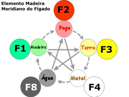 Elemento Madeira F2 Meridiano do Fígado F1 F3 F8 F4.