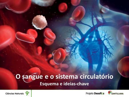 O sangue e o sistema circulatório Esquema e ideias-chave