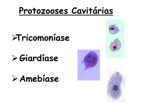 Protozooses Cavitárias
