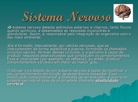 Sistema Nervoso O sistema nervoso detecta estímulos externos e internos, tanto físicos quanto químicos, e desencadeia as respostas musculares e glandulares.