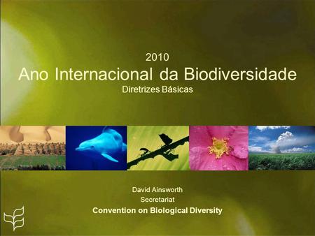 2010 Ano Internacional da Biodiversidade Diretrizes Básicas David Ainsworth Secretariat Convention on Biological Diversity.