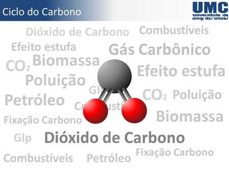 Gás Carbônico Biomassa CO2 Efeito estufa Poluição CO2 Petróleo