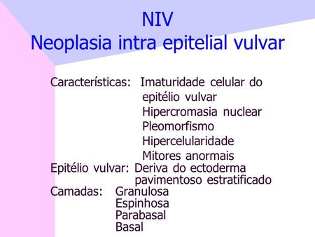 NIV Neoplasia intra epitelial vulvar