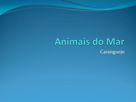 Animais do Mar Caranguejo.