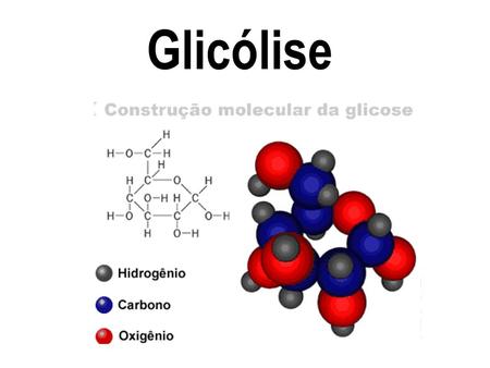 Glicólise.