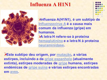 Influenza A H1N1 Influenza A(H1N1), é um subtipo de Influenzavirus A é a causa mais comum da influenza (gripe) em humanos. A letra H refere-se à proteína.