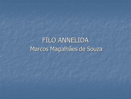 FILO ANNELIDA Marcos Magalhães de Souza
