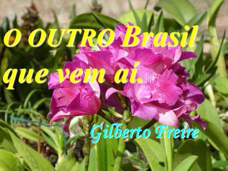 O OUTRO Brasil que vem aí. Gilberto Freire. Eu ouço as vozes eu vejo as cores eu sinto os passos de outro Brasil que vem aí.