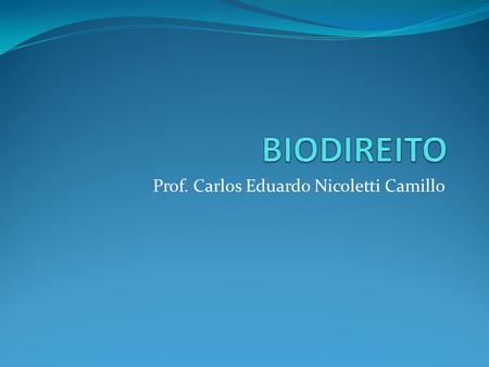 Prof. Carlos Eduardo Nicoletti Camillo