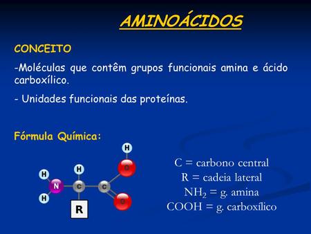 AMINOÁCIDOS C = carbono central R = cadeia lateral NH2 = g. amina