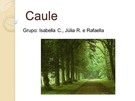 Grupo: Isabella C., Júlia R. e Rafaella