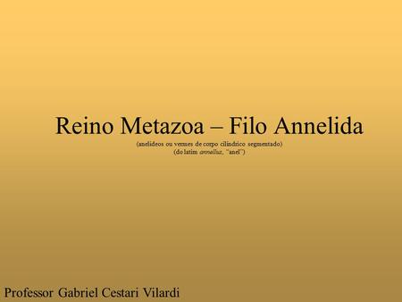 Reino Metazoa – Filo Annelida
