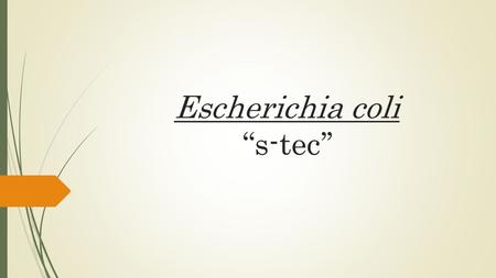 Escherichia coli “s-tec’’