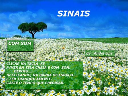 SINAIS COM SOM de : André Luiz CLICAR NA TECLA F5