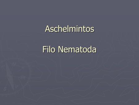 Aschelmintos Filo Nematoda