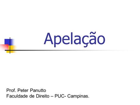 Apelação Prof. Peter Panutto Faculdade de Direito – PUC- Campinas.