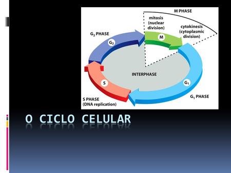 O ciclo celular.