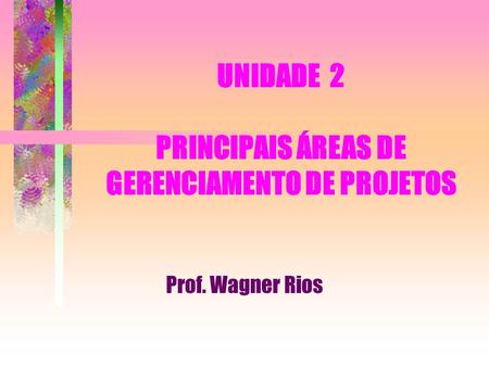 UNIDADE 2 PRINCIPAIS ÁREAS DE GERENCIAMENTO DE PROJETOS Prof. Wagner Rios.