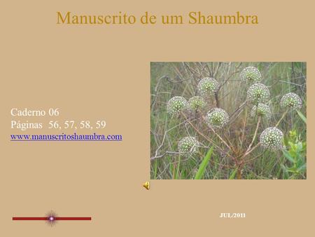 Manuscrito de um Shaumbra Caderno 06 Páginas 56, 57, 58, 59 www.manuscritoshaumbra.com JUL/2011.
