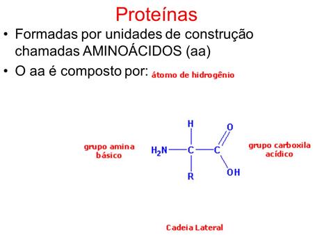 Proteínas Formadas por unidades de construção chamadas AMINOÁCIDOS (aa) O aa é composto por: