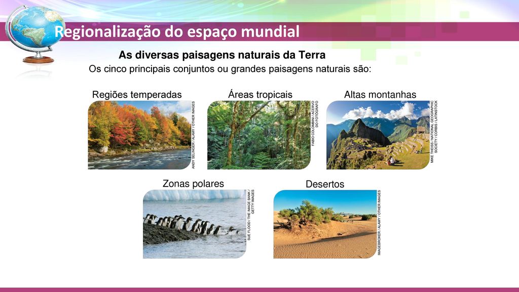 Os tipos climáticos e as paisagens vegetais. - ppt carregar