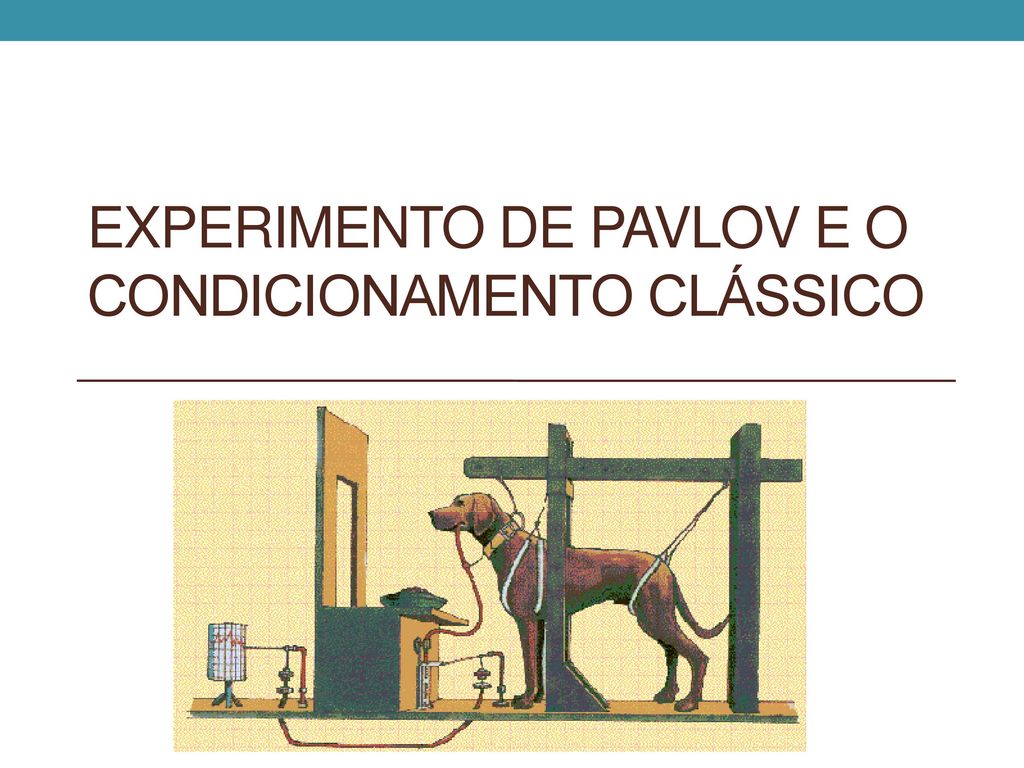 Experimento de Pavlov e o Condicionamento Clássico - ppt carregar